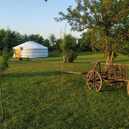 Mirella33 Palić Exterior foto