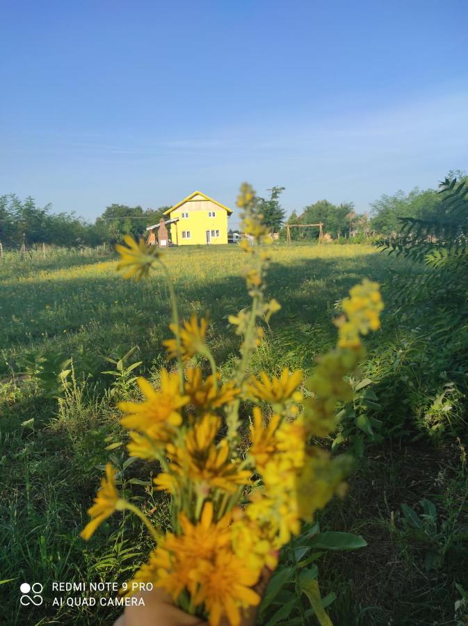 Mirella33 Palić Exterior foto
