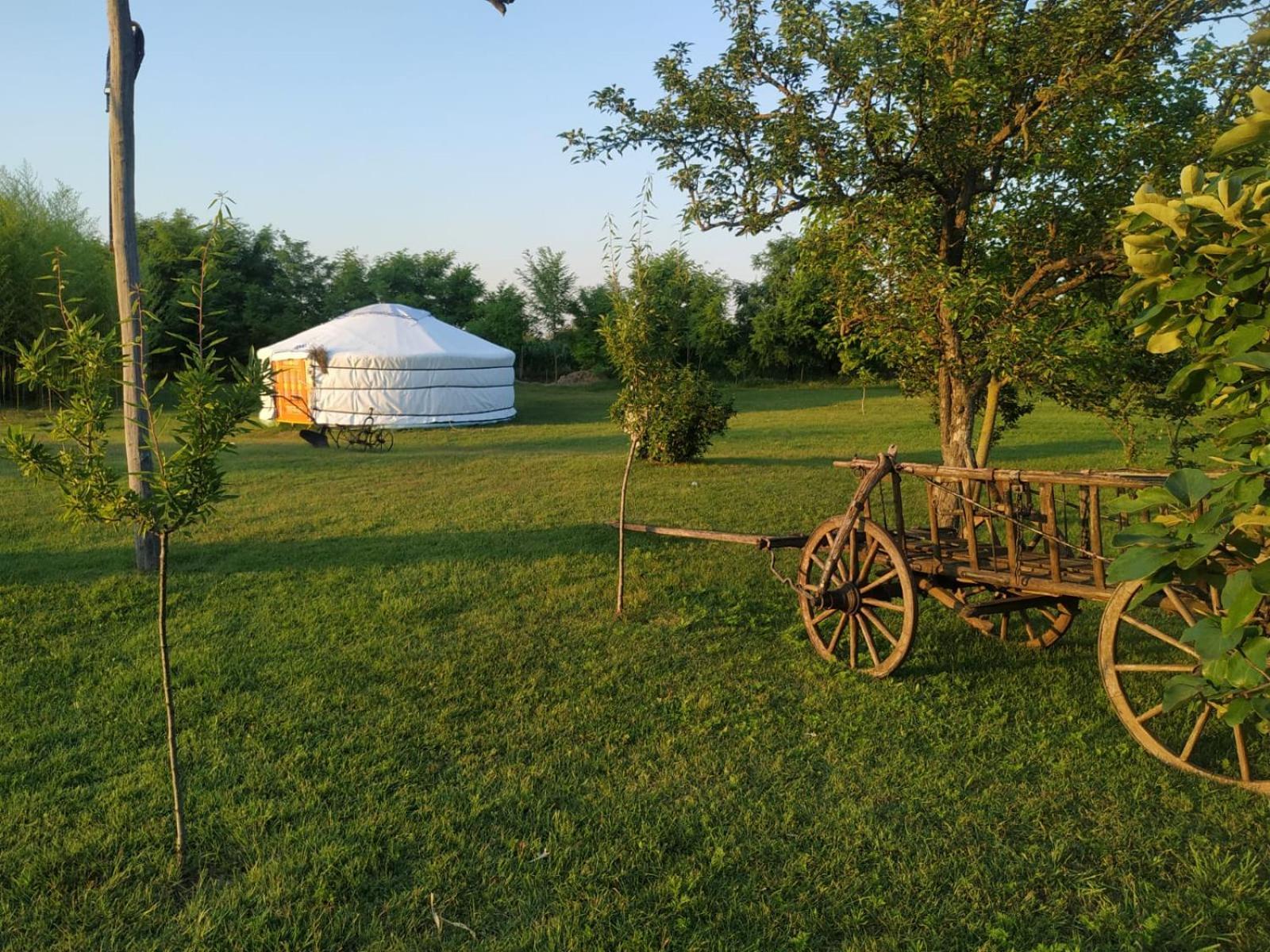 Mirella33 Palić Exterior foto